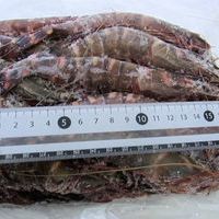 「天然」有頭ブラックタイガー海老（シータイガー） 35尾のサムネイル