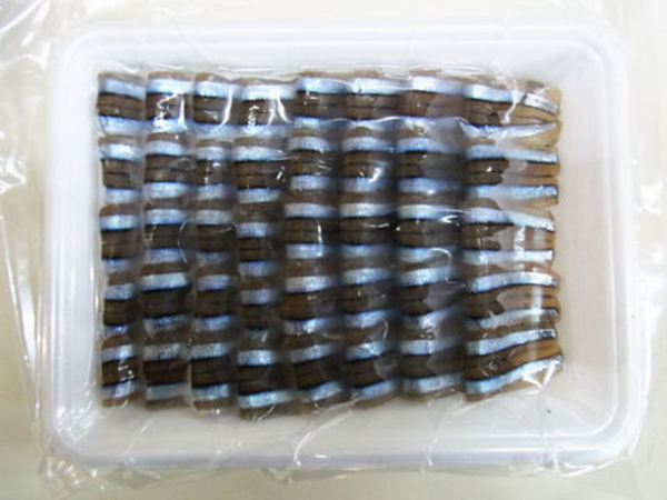 冷凍刺身用きびなご　１P＝４０尾のサムネイル