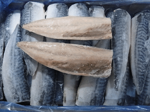 ノルウェー産 真鯖フィーレ 5kg/35枚（約1枚140g）