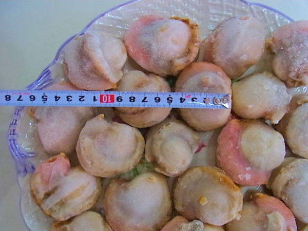 ボイル帆立貝Lサイズ 1袋＝21～25粒のサムネイル